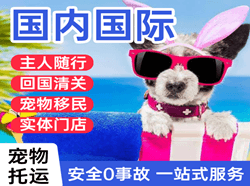 周水子机场托运国际宠物托运 【国